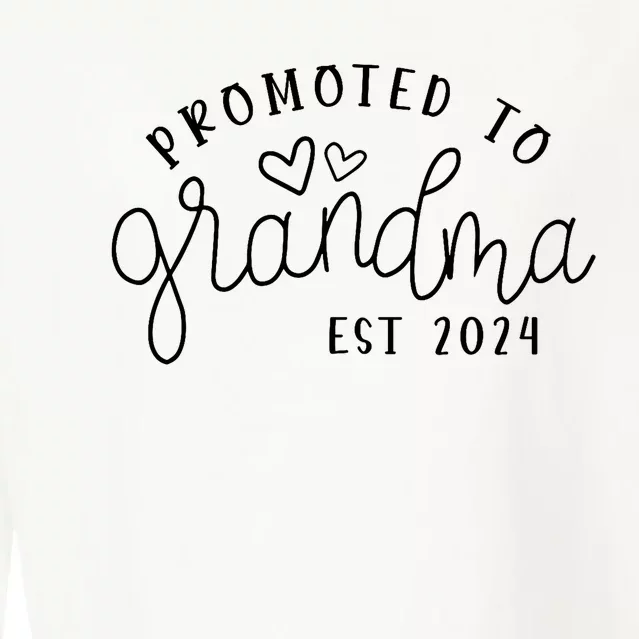 Promoted To Grandma Est 2024 New Grandma Mothers Day Cropped Pullover Crew