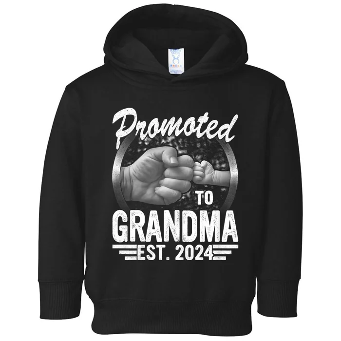 Promoted To Grandma Est. 2024 Grandparents Baby Announcement Toddler Hoodie