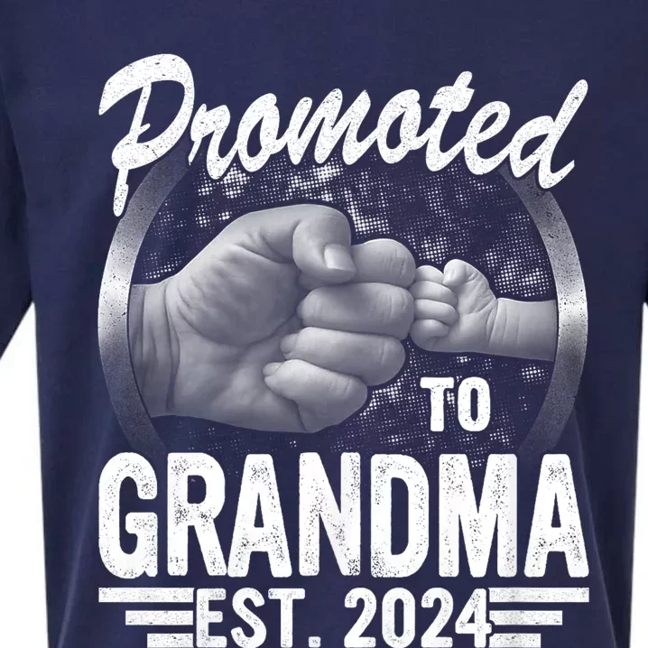 Promoted To Grandma Est. 2024 Grandparents Baby Announcement Sueded Cloud Jersey T-Shirt