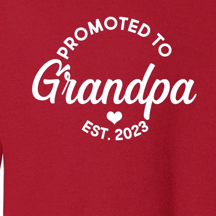 Promoted To Grandpa Est 2024 Toddler Sweatshirt