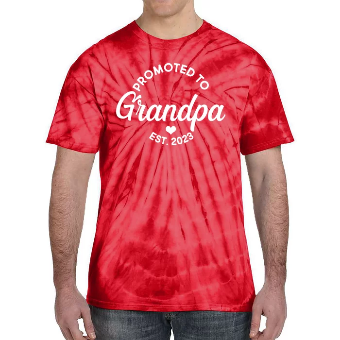 Promoted To Grandpa Est 2024 Tie-Dye T-Shirt