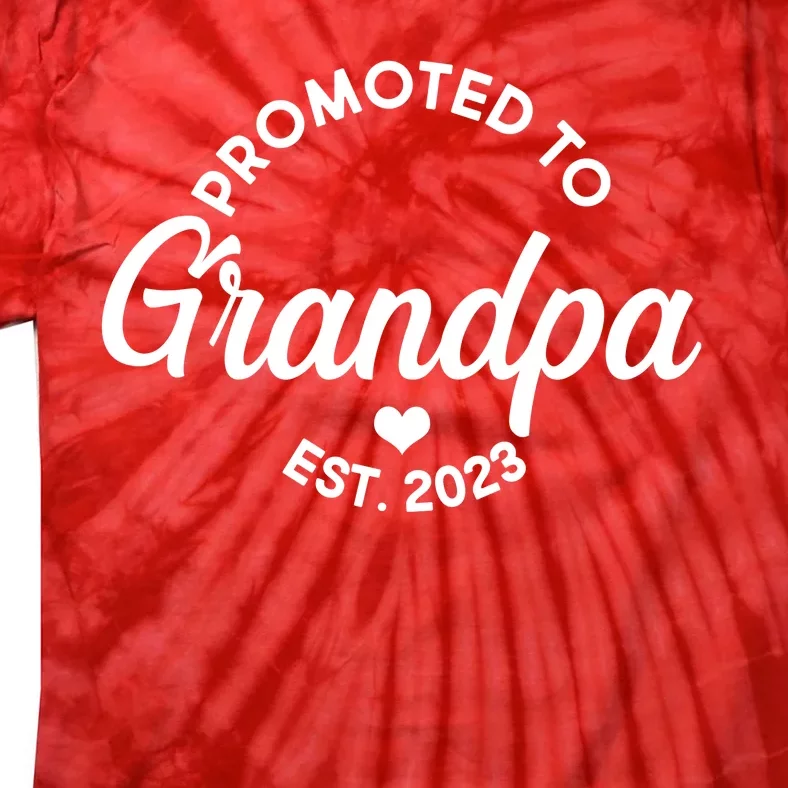 Promoted To Grandpa Est 2024 Tie-Dye T-Shirt