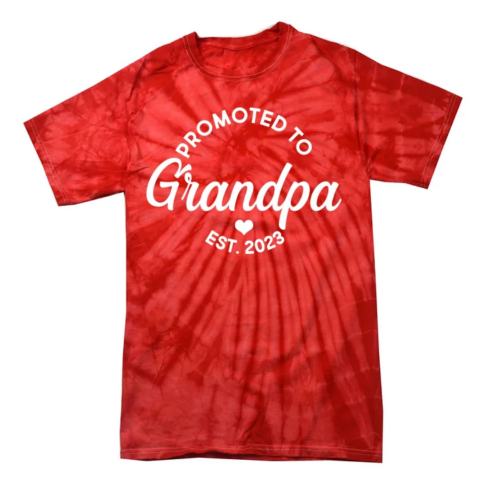 Promoted To Grandpa Est 2024 Tie-Dye T-Shirt