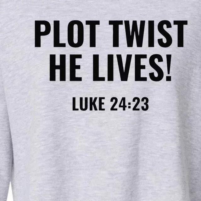 Plot Twist He Lives Cropped Pullover Crew