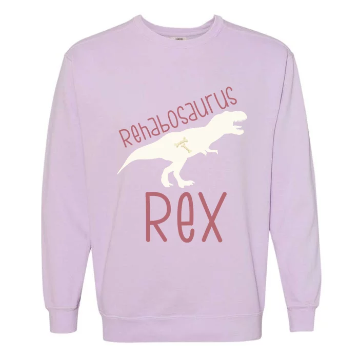 Physical Therapy Month Occupational Rehab Assistant Dinosaur Gift Garment-Dyed Sweatshirt