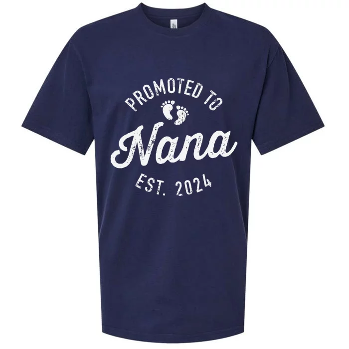 Promoted To Nana Est. 2024 For New Baby Shower Grandma Sueded Cloud Jersey T-Shirt