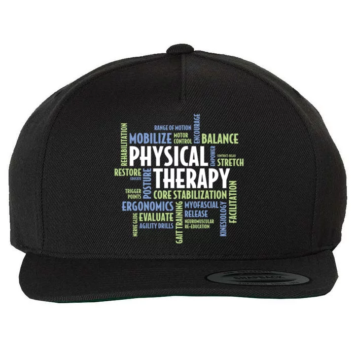 Physical Therapy Wool Snapback Cap