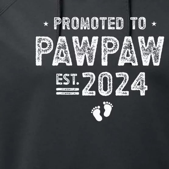 Promoted to Pawpaw 2024 Soon To Be Pawpaw Performance Fleece Hoodie