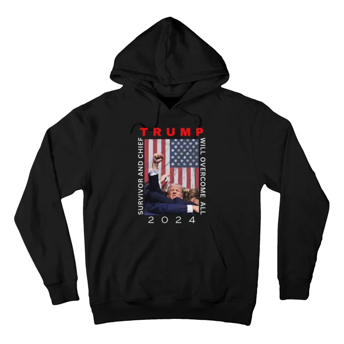 President Trump Pennsylvania History Day Hoodie