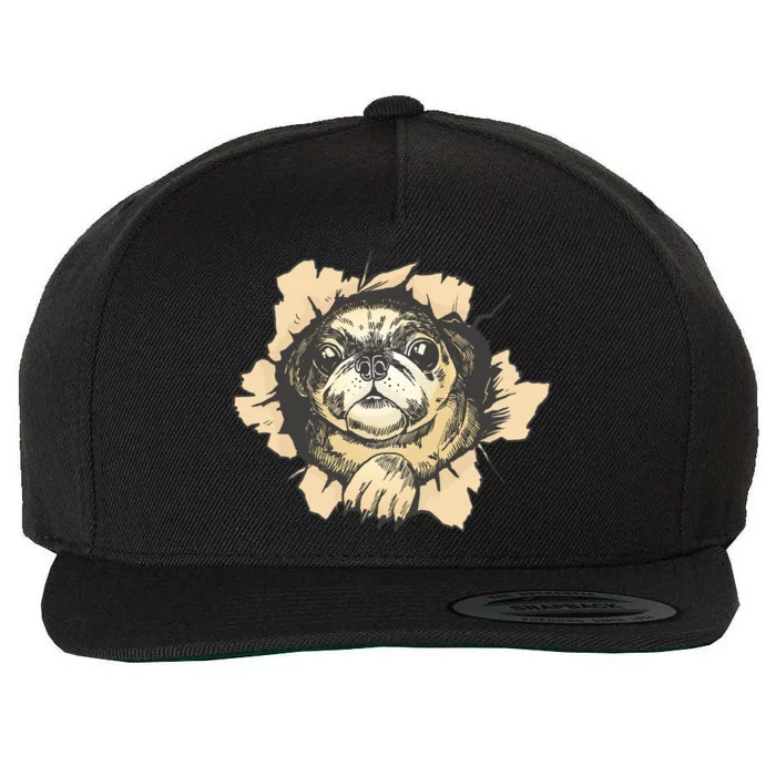 Pug Torn Wool Snapback Cap