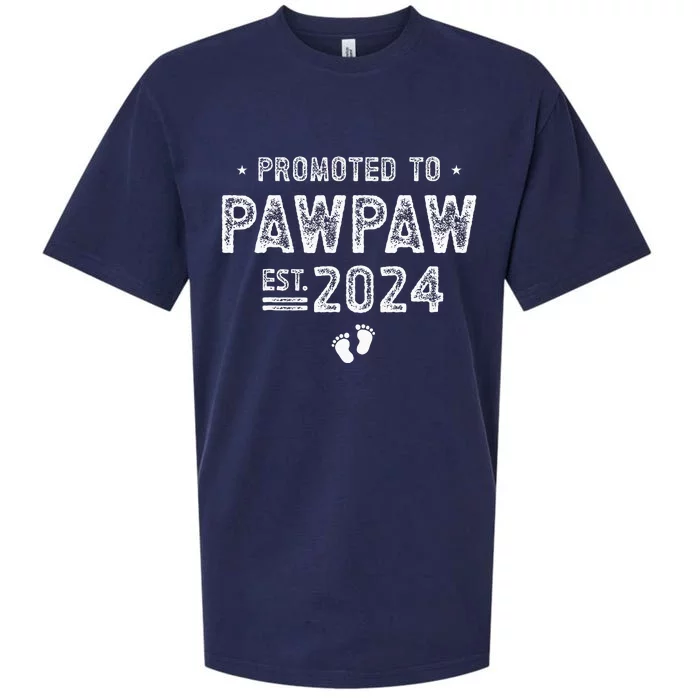 Promoted To Pawpaw 2024 Soon To Be Pawpaw Sueded Cloud Jersey T-Shirt