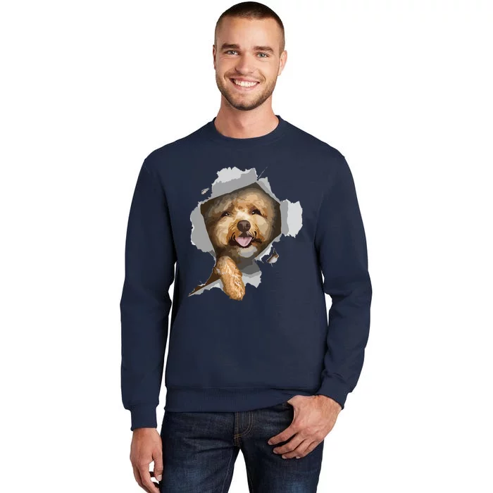 Poodle T Poodle Lover Poodle Owner Gift Poodle Tall Sweatshirt