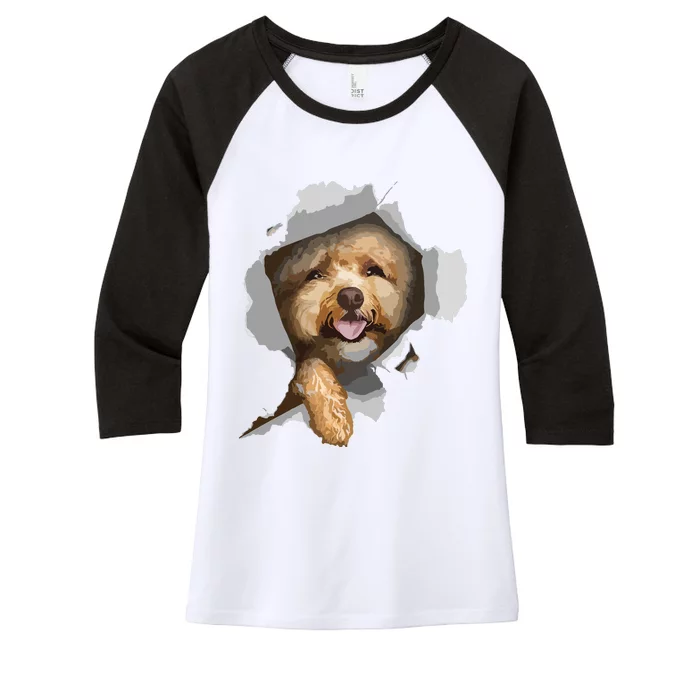 Poodle T Poodle Lover Poodle Owner Gift Poodle Women's Tri-Blend 3/4-Sleeve Raglan Shirt