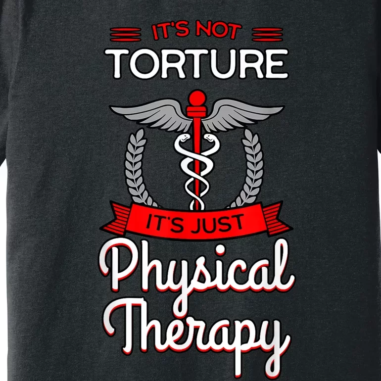 Physical Therapy Physiotherapy PT Rehab Therapist Gift Idea Premium T-Shirt