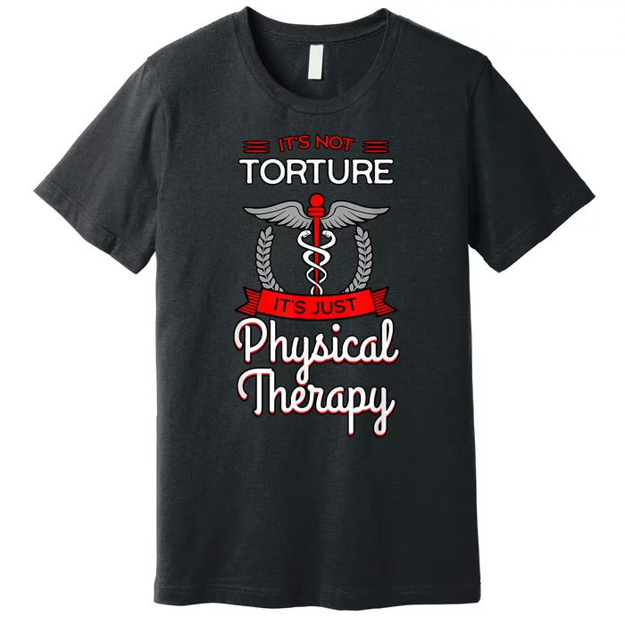 Physical Therapy Physiotherapy PT Rehab Therapist Gift Idea Premium T-Shirt