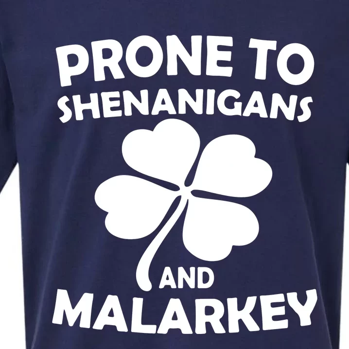 Prone To Shenanigans And Malarkey St Patricks Day Sueded Cloud Jersey T-Shirt