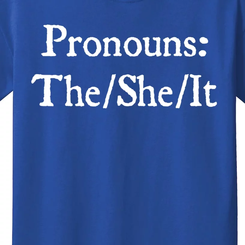 Pronouns The She It Kids T-Shirt