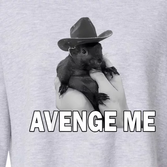 Peanut The Squirrel Avenge Me Cropped Pullover Crew