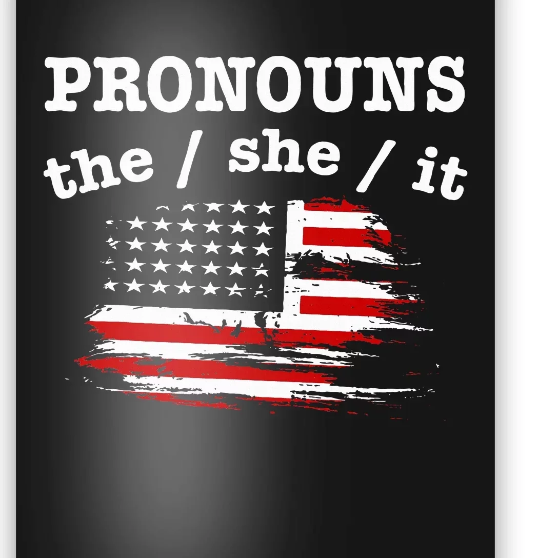 Pronouns The She It Poster