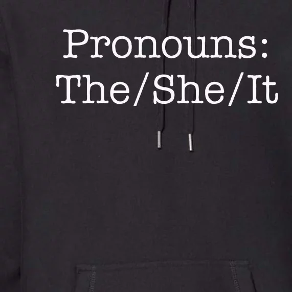 Pronouns The She It Premium Hoodie