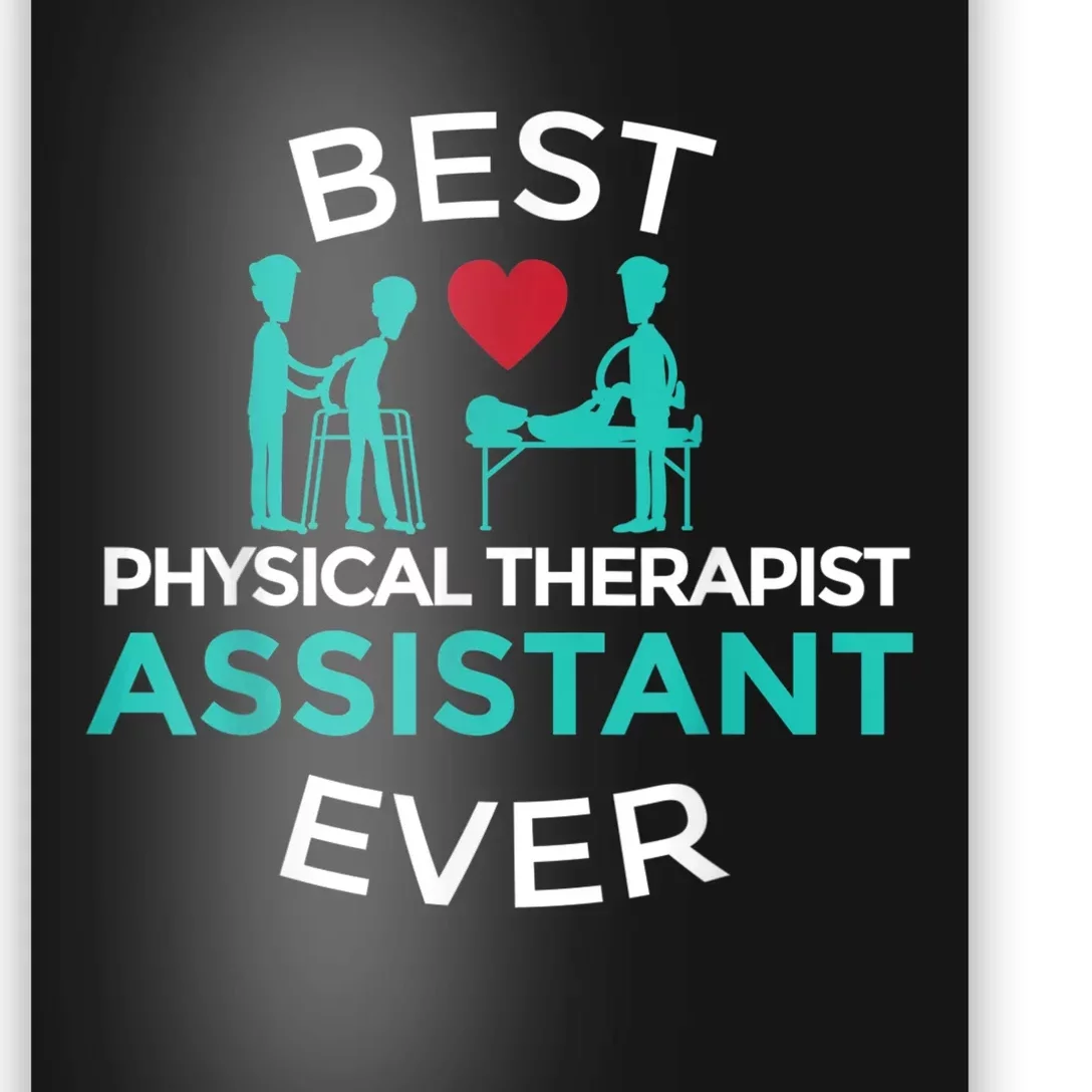 Physical Therapist Therapy Assistant PTA Graduation Poster