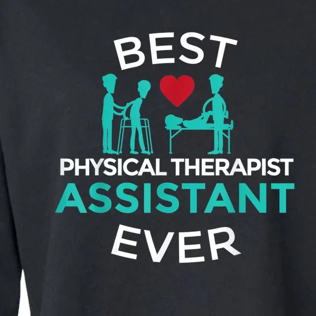 Physical Therapist Therapy Assistant PTA Graduation Cropped Pullover Crew