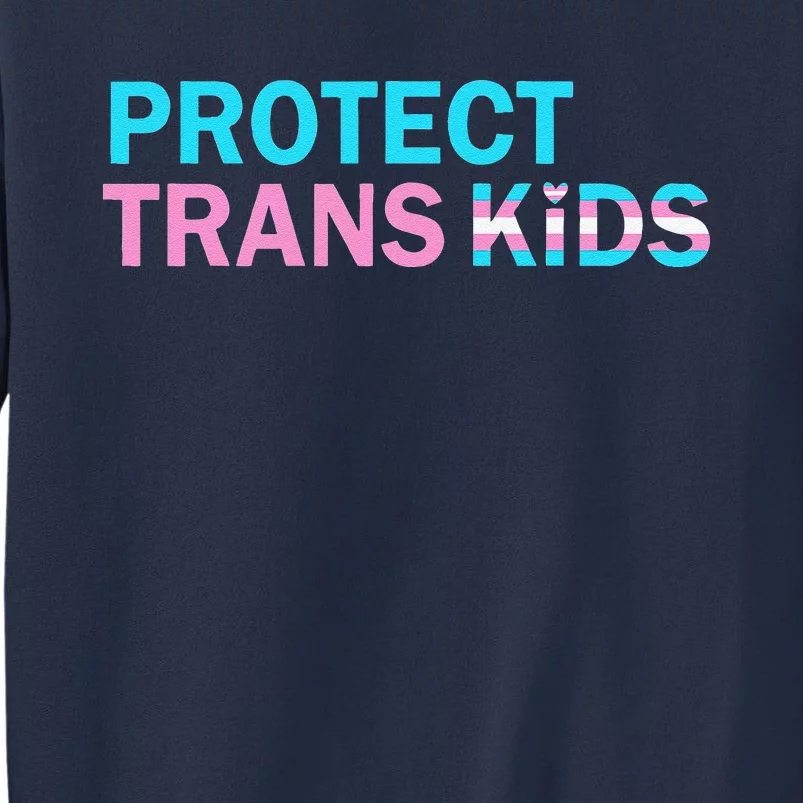 Protect Transg Transg Pride Lgbtq+ Gift Sweatshirt