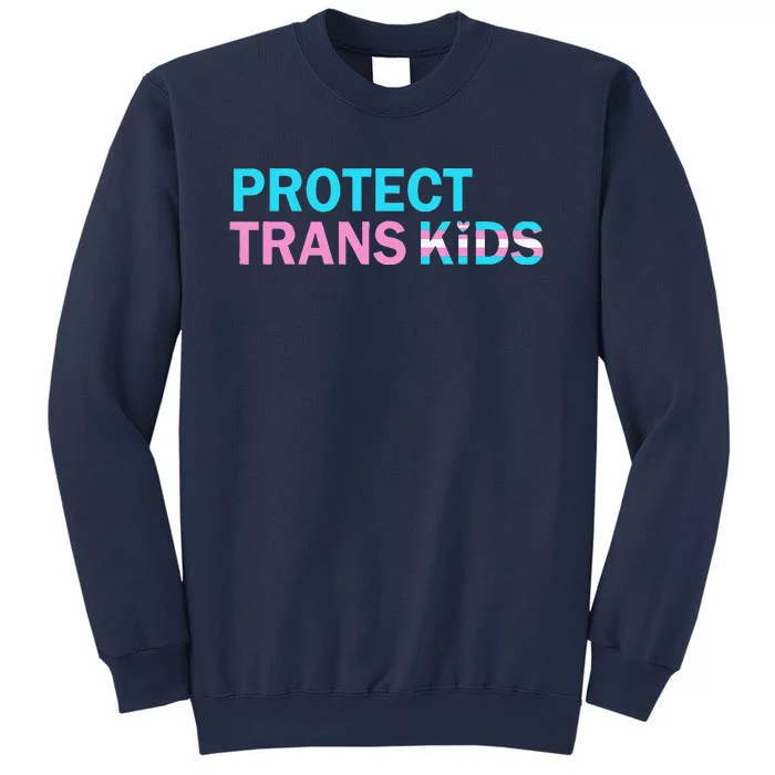 Protect Transg Transg Pride Lgbtq+ Gift Sweatshirt