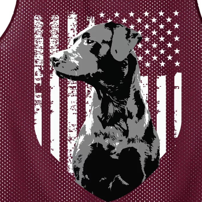 Patriotic USA Flag Black Labrador Gift For Lab Owners Mesh Reversible Basketball Jersey Tank