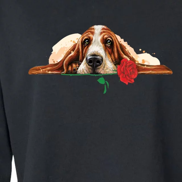 Puppy Love Red Rose Cropped Pullover Crew