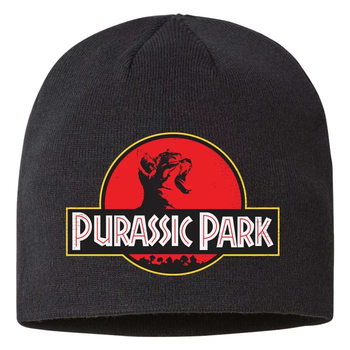 Purassic Park Cat 8 1/2in Sustainable Knit Beanie