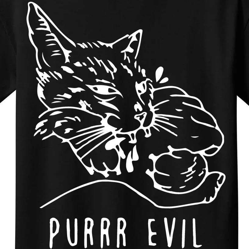 Purrr Evil Funny Cat Kids T-Shirt