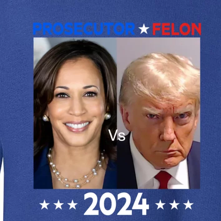 Prosecutor Vs Felon 2024 Toddler Sweatshirt