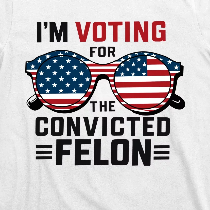 Patriotic Voting Humor Graphic T-Shirt