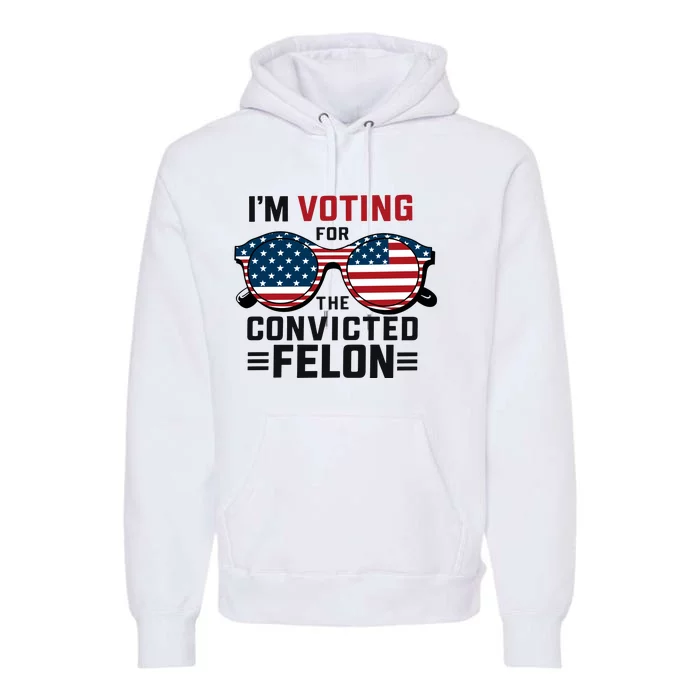 Patriotic Voting Humor Graphic Premium Hoodie