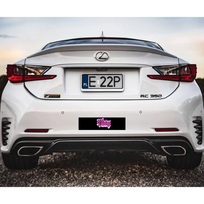 Pink Vibing Pink Color Graphic Pink Vibes Only Bumper Sticker