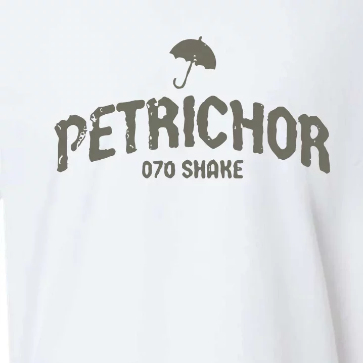 Petrichor Varsity Sueded Cloud Jersey T-Shirt