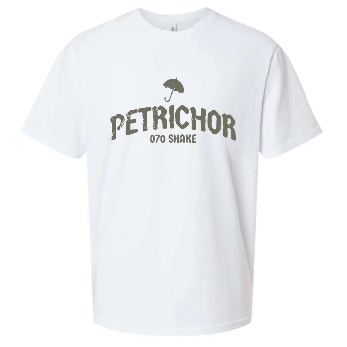 Petrichor Varsity Sueded Cloud Jersey T-Shirt