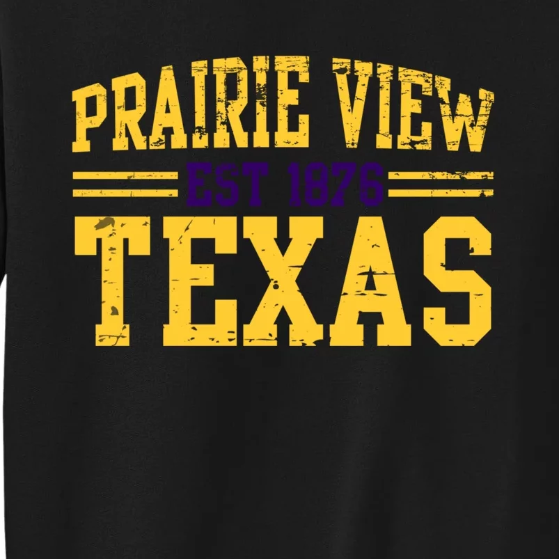 Prairie View Texas, Prairie Gift, Distressed Text Sweatshirt