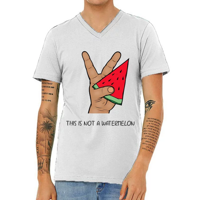 Palestine Watermelon Flag Support Gaza & Freedom! V-Neck T-Shirt