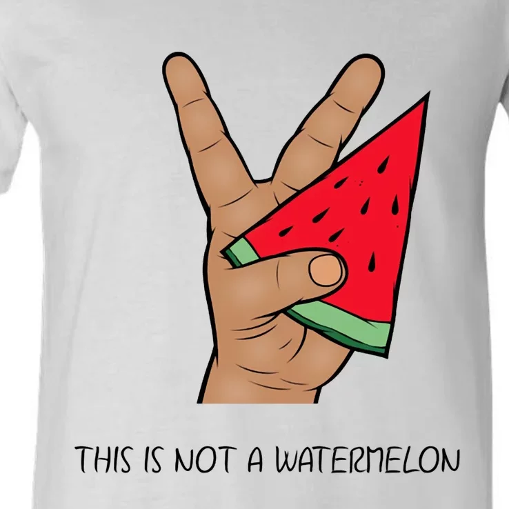 Palestine Watermelon Flag Support Gaza & Freedom! V-Neck T-Shirt