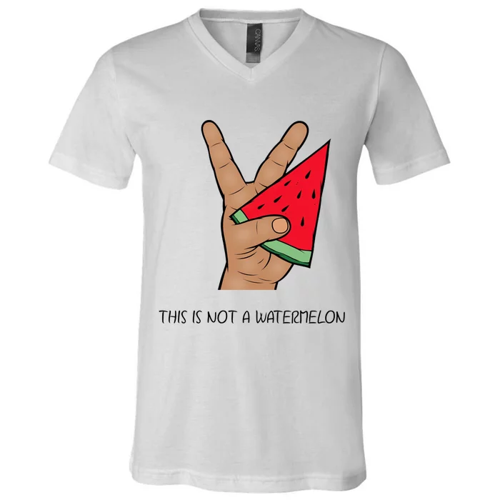 Palestine Watermelon Flag Support Gaza & Freedom! V-Neck T-Shirt