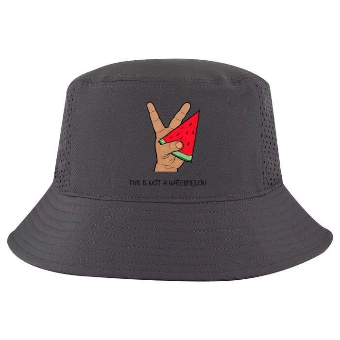 Palestine Watermelon Flag Support Gaza & Freedom! Cool Comfort Performance Bucket Hat