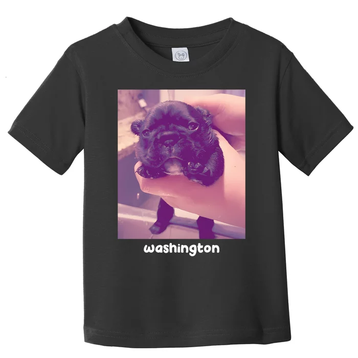 Pibble Washington Toddler T-Shirt