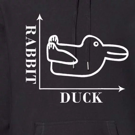 Philosophy Wittgenstein Rabbit Duck Illusion Premium Hoodie