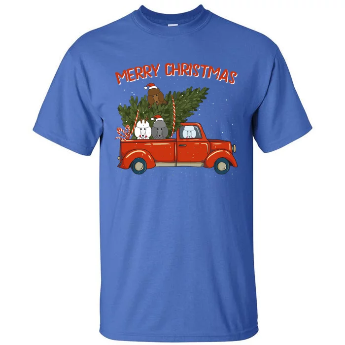 Poodle Xmas Vintage Red Pickup Retro Truck Gift Tall T-Shirt