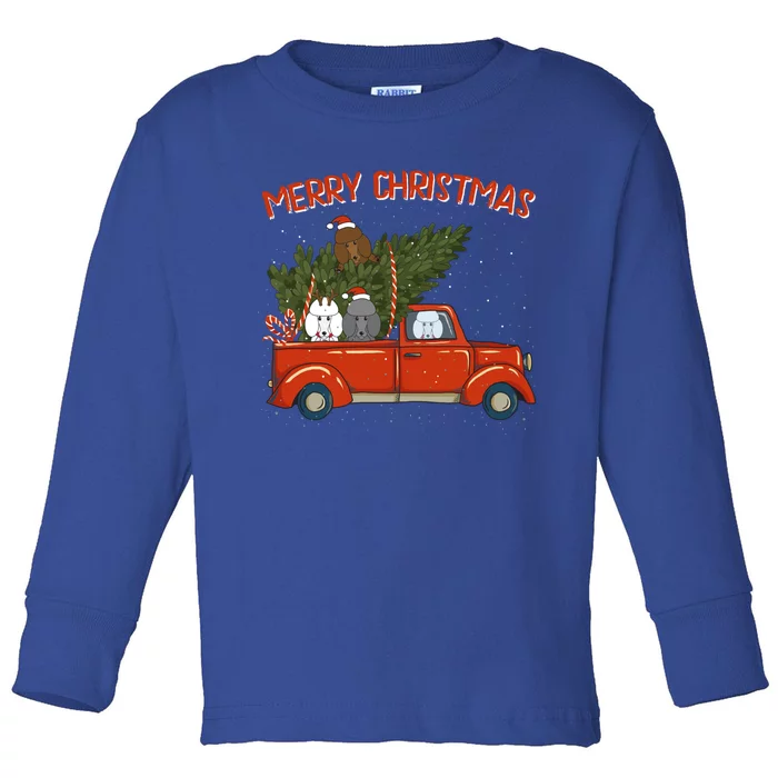 Poodle Xmas Vintage Red Pickup Retro Truck Gift Toddler Long Sleeve Shirt