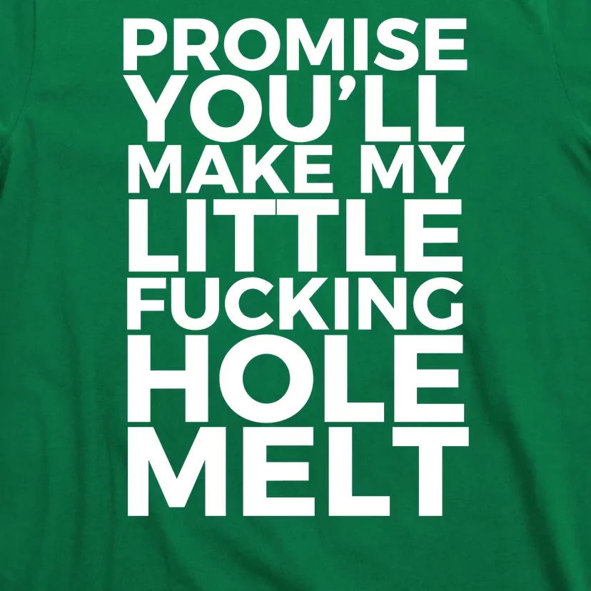 Promise Youll Make My Little Fucking Hole Melt T-Shirt