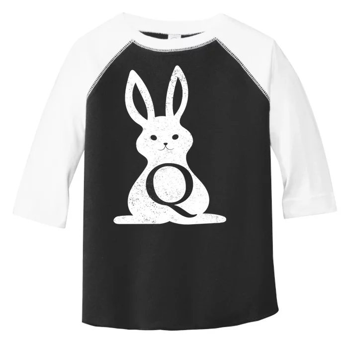 Q Anon Bunny Qanon Toddler Fine Jersey T-Shirt