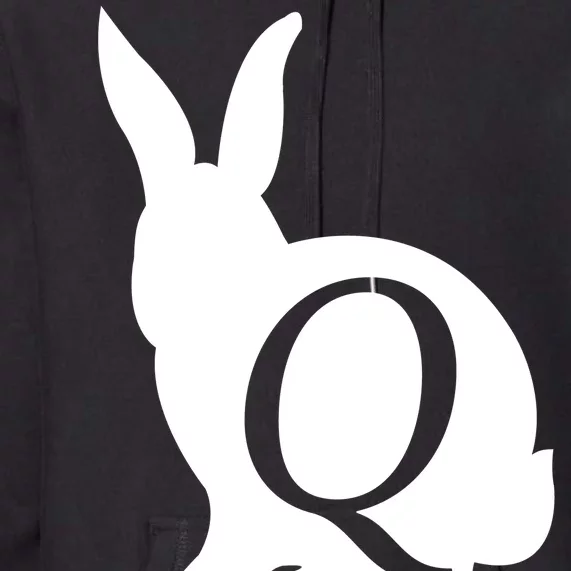 Q-anon Rabbit Logo Premium Hoodie